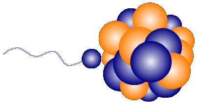 A thermal neutron collides to 235U to become a 236U